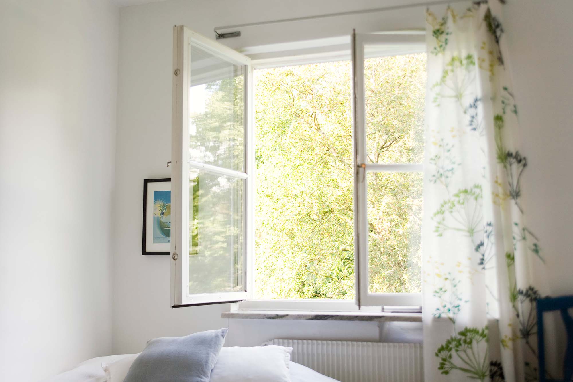 Ett fönster öppet mot grönska med vita gardiner.